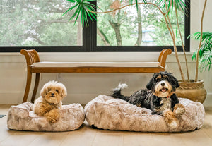 P.L.A.Y. Dreamland Lounge Bed Collection - Sandstorm with small and large size shown with two different dogs lounging in them