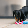 Load image into Gallery viewer, P.L.A.Y. Mini Party Time Collection - Raise the Woof Party Horn Toy on concrete with black wiener dog biting the end