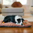 Load image into Gallery viewer, P.L.A.Y. Canyon Series Chill Pad - Terracotta lifestyle image with black and white dog laying on the mat with head down in front of a beige styled living room