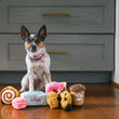 Load image into Gallery viewer, P.L.A.Y. Mini Pup Cup Cafe Collection - small dog looking into camera with all five toys at its feet in front of kitchen cabinet