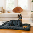 Load image into Gallery viewer, P.L.A.Y. Canyon Series Chill Pad - Nightfall lifestyle image with black min pin laying on the mat in front of a beige styled living room