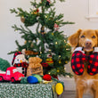 Load image into Gallery viewer, P.L.A.Y. Home for the Holidays Collection - brown fluffy dog holding the mittens in its mouth in front of Christmas Tree with other toys on top of a wrapped present