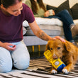 Load image into Gallery viewer, P.L.A.Y. Totally Touristy Big Ben Toy - brown fluffy dog playing with medium size on living room floor with dog mom smiling down and patting their head