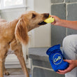 Load image into Gallery viewer, P.L.A.Y. Paw-nukkah Collection Gelt-y Treats Toy - dog chomping on the coin while human holds onto it while also holding the blue bag in their hand