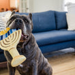 Load image into Gallery viewer, P.L.A.Y. Paw-nukkah Collection Menorah Toy - big black dog holding by candles in mouth in front of a blue couch looking up