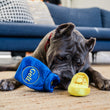 Load image into Gallery viewer, P.L.A.Y. Paw-nukkah Collection Gelt-y Treats Toy - blue bag laying on a rug in front of big black dog's snout with gold coin next to it as dog sniffs both