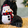 Load image into Gallery viewer, P.L.A.Y. Home for the Holidays Collection Blizzard Buddy - toy between the front paws of a black Poodle laying down on a woven rug