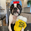 Load image into Gallery viewer, Clive & Bacon x P.L.A.Y. Barking Beer toy pictured with black and white dog wearing a backward baseball cap in kitchen