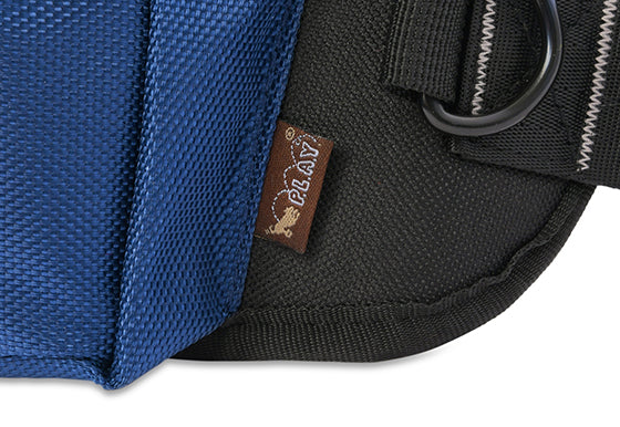 P.L.A.Y.'s Explorer Pack in Waterfall Blue with closer up of D ring for leash-free walking