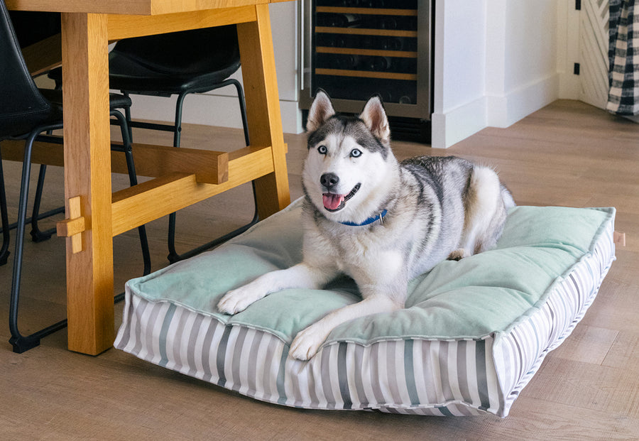 Husky dog lounging on Seaside Boxy Bed in Sea Glass with solid side facing up