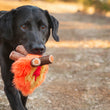 Load image into Gallery viewer, Camp Corbin Collection Cozy Campfire Toy by P.L.A.Y. being carried in mouth of black lab