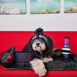 Load image into Gallery viewer, HyperX x P.L.A.Y. Collab Toy Set - Fluffy dog Sierra with toy set and matching Chill Pad on a red couch