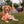 Load image into Gallery viewer, P.L.A.Y.&#39;s Camp Corbin Collection Cozy Campire and Gimme Smores Toys pictured with dog sitting in front of a campfire
