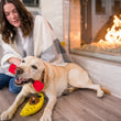 Load image into Gallery viewer, Camp Corbin Collection K9 Kayak Toy by P.L.A.Y. with lab holding paddle in mouth playing with mom in front of fire