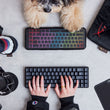 Load image into Gallery viewer, HyperX x P.L.A.Y. Collab - HyperX Keyboard with P.L.A.Y. Dog Keyboard with human and dog gaming with toys surrounding it