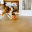 Load image into Gallery viewer, P.L.A.Y. American Classic Barky Burger Toy - in dog's mouth during playtime on concrete floor
