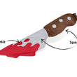 Load image into Gallery viewer, Gallery: Howling Haunts Dagger Toy PY7091ASF