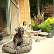 Load image into Gallery viewer, Gallery: Frolic (Cover Only) PY1002BSC