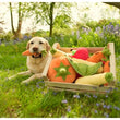 Load image into Gallery viewer, P.L.A.Y. Garden Fresh Collection - Carrot Toy lifestyle image with carrot in dog's mouth laying in a field next to a wooden crate filled with dog toys