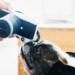 Load image into Gallery viewer, Gallery: Globetrotter Camera Toy PY7048DSF