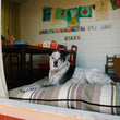 Load image into Gallery viewer, Gallery: Horizon Pillow Bed PY1018CSF
