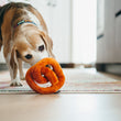 Load image into Gallery viewer, P.L.A.Y. International Classic Poochie Pretzel Toy - beagle playing with toy on rug in kitchen