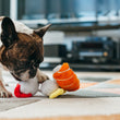 Load image into Gallery viewer, P.L.A.Y. International Classic Spot's Sushi Toy - black and white Frenchie playing with toy on living room rug
