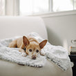 Load image into Gallery viewer, Gallery: Luxe Throw PY9008AMF