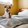Load image into Gallery viewer, Gallery: Luxe Throw PY9009CMF