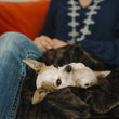 Load image into Gallery viewer, Gallery: Luxe Throw PY9008BMF