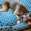 Load image into Gallery viewer, Gallery: Moroccan Lounge Bed PY3012DSF