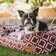 Load image into Gallery viewer, Gallery: Moroccan Lounge Bed PY3012ASF