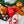 Load image into Gallery viewer, Gallery: Holiday Classic Plush Toy Set PY7060AUF
