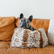 Load image into Gallery viewer, P.L.A.Y. Snuggle Bed - Leopard Brown in cup shape with gray Frenchie sitting inside it's cup shape on a tan couch
