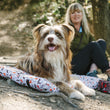 Load image into Gallery viewer, Scout & About Outdoor Chill Pad in Vanilla with dog hanging out on it next to his mom