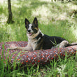 Load image into Gallery viewer, Gallery: Scout & About Outdoor Bed PY1017ASF