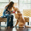 Load image into Gallery viewer, Gallery: Puppy Love Bouquet Toy PY7065CSF