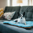 Load image into Gallery viewer, Original Chill Pad in Sea Foam with small dog lounging on it on a denim colored couch