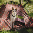 Load image into Gallery viewer, Gallery: Outdoor Dog Tent PY6006ASFScout & About Outdoor Dog Tent by P.L.A.Y. - white dog peering out of tent door