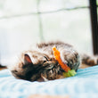Load image into Gallery viewer, P.L.A.Y. Feline Frenzy Farm to Tabby Toy Set - fluffy cat playing with carrot toy on its back on a blue Chill Pad in the window sill