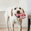 Load image into Gallery viewer, Gallery: Holiday Classic Candy Canes Toy PY7059DSF