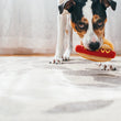 Load image into Gallery viewer, P.L.A.Y. American Classic Hot Diggy Dog Toy - big black and white dog staring at the camera with toy in his mouth