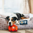 Load image into Gallery viewer, Gallery: Globetrotter Passport Toy PY7048ESF