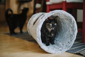 Gallery: Purr & Pounce Cat Tunnel PY6002AMF