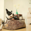 Load image into Gallery viewer, Gallery: Savannah Lounge Bed PY3002BSF