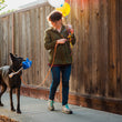 Load image into Gallery viewer, P.L.A.Y. Party Time Best Day Ever Balloon Toy - beautiful black dog holding it in her mouth walking down the sidewalk and looking up at dog mom carrying balloons