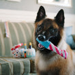 Load image into Gallery viewer, P.L.A.Y. Party Time Raise the Woof Party Horn Toy in smiling mouth of big fluffy brown dog with other toys in background on a green striped couch
