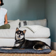 Load image into Gallery viewer, Coastal Series Original Chill Pad in Anchor with little dog laying on it in front of white couch
