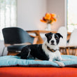 Load image into Gallery viewer, Coastal Series Original Chill Pad in Aqua with dog laying on ottoman with dining room in the background