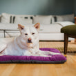 Load image into Gallery viewer, Coastal Series Original Chill Pad in Plum with dog laying on it with eyes closed in living room